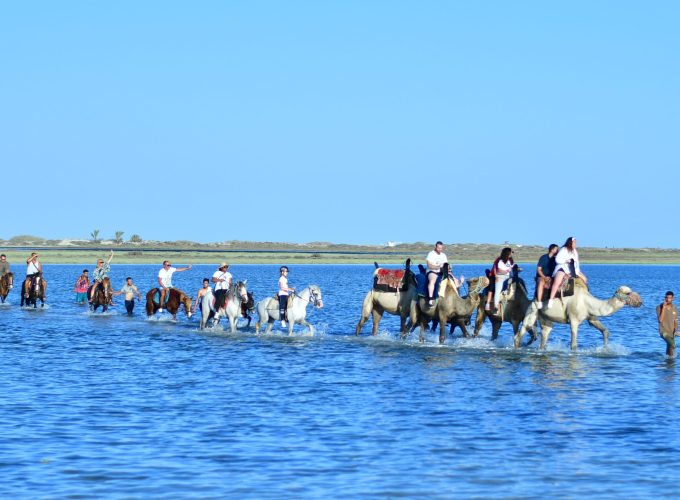 the caravan tour in djerba