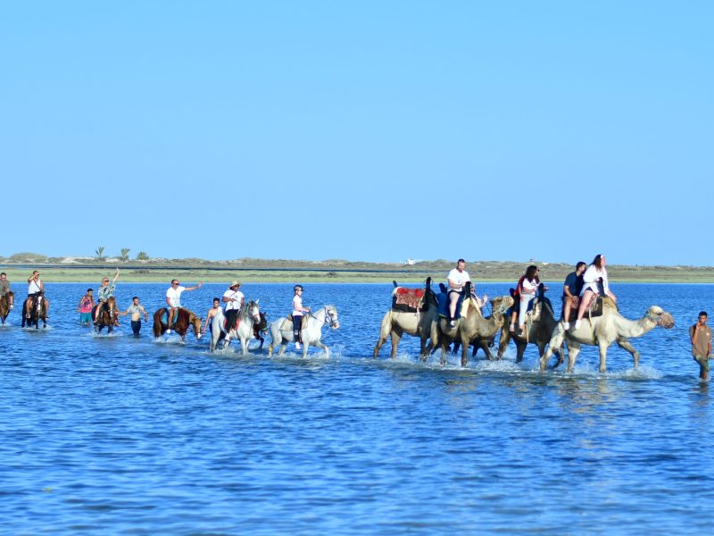 the caravan tour in djerba