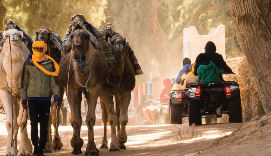 book trips and tour in tunisia