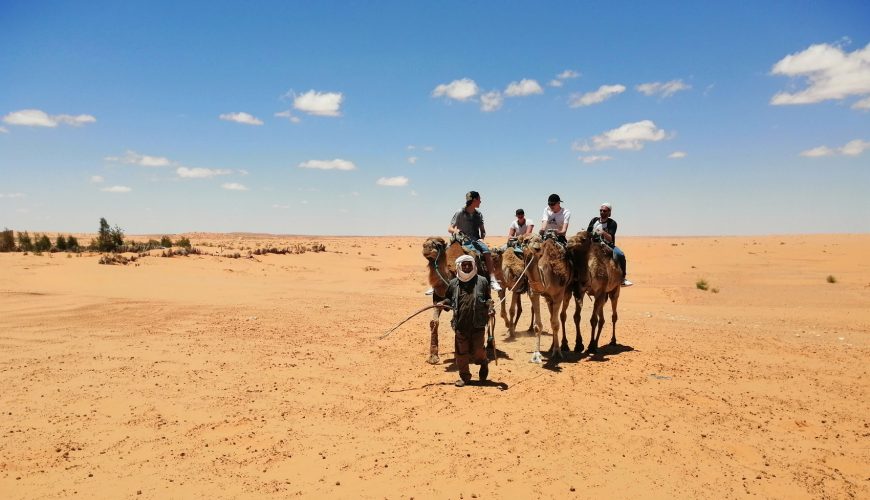 camel ride in ksar ghilane