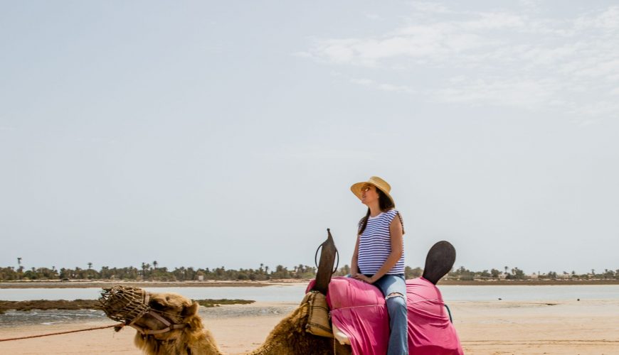 2 H camel ride in Djerba