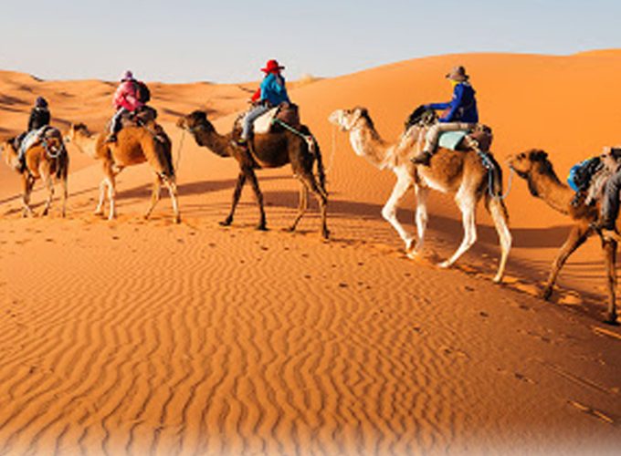 sunset camel ride in douz