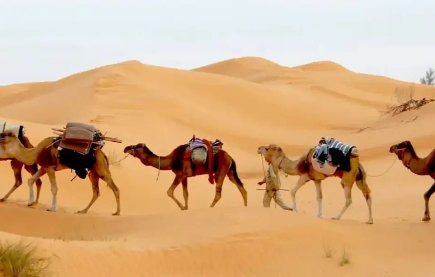 A Day at Ksar Ghilane